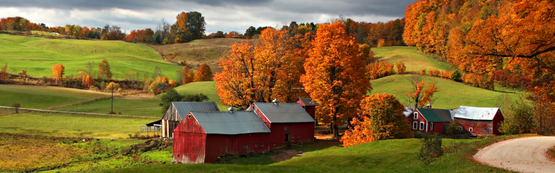 vermont farm 