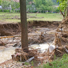 eroded stream bank