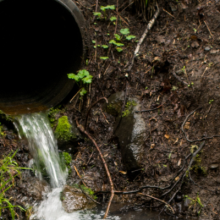 the end of a culvert in a lush woodsy setting