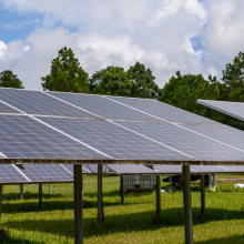 several rows of solar panels in a field