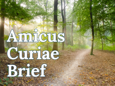 "Amicus Curiae Brief" superimposed on photo of a trail in woods