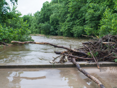 river with woody debris piled against a bridge