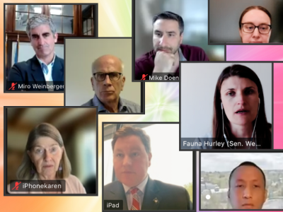 Video meeting attendees