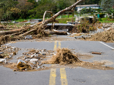 tree and other flood debris on paved road