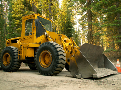 loader parked in a forest