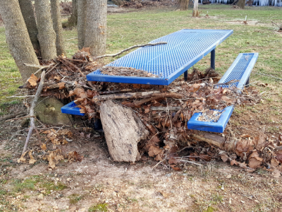 picnic table with woody debris