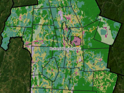 Rutland detail in 2025 proposed land use map