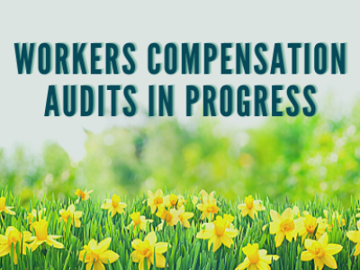 wc spring audits in process