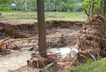 eroded stream bank