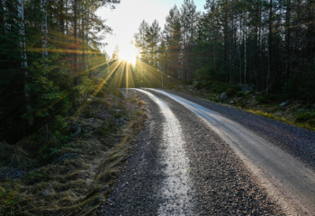 gravel road with ditch