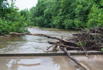 river with woody debris piled against a bridge 