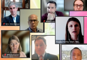 Video meeting attendees