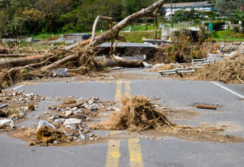tree and other flood debris on paved road