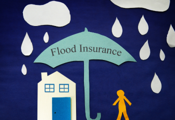 house and person underneath an umbrella