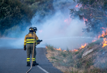 two firefighters putting out a roadside fire