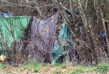 photo of ad-hoc residential tent site near edge of woods