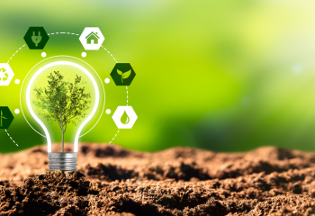 Light bulb of energy ideas