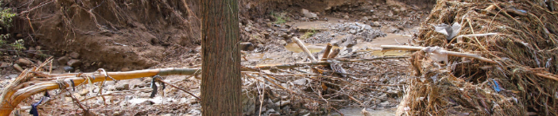 eroded stream bank