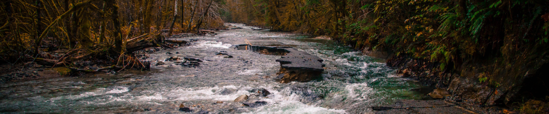 photo of road washed out by floodwaters