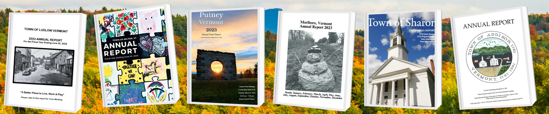 town report covers