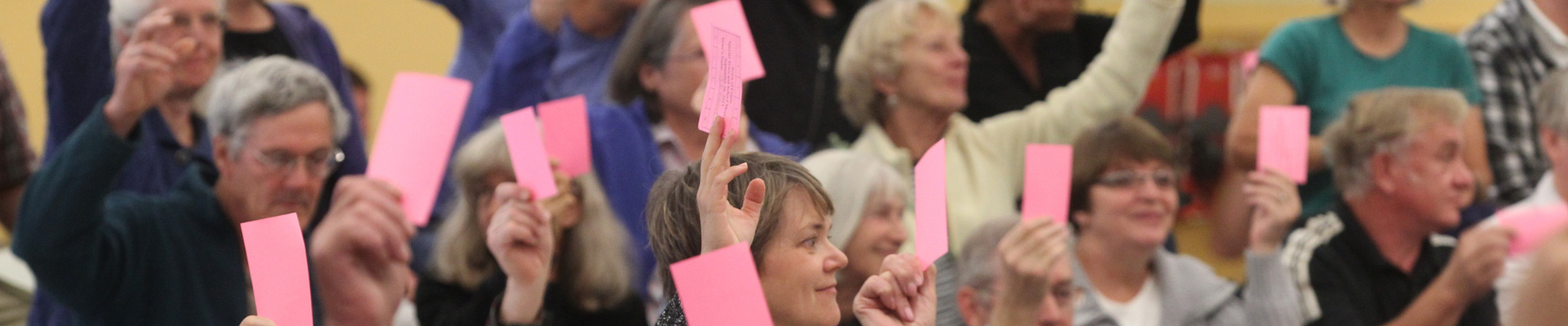 Crowd of people voting by raising their Voting Delegate cards