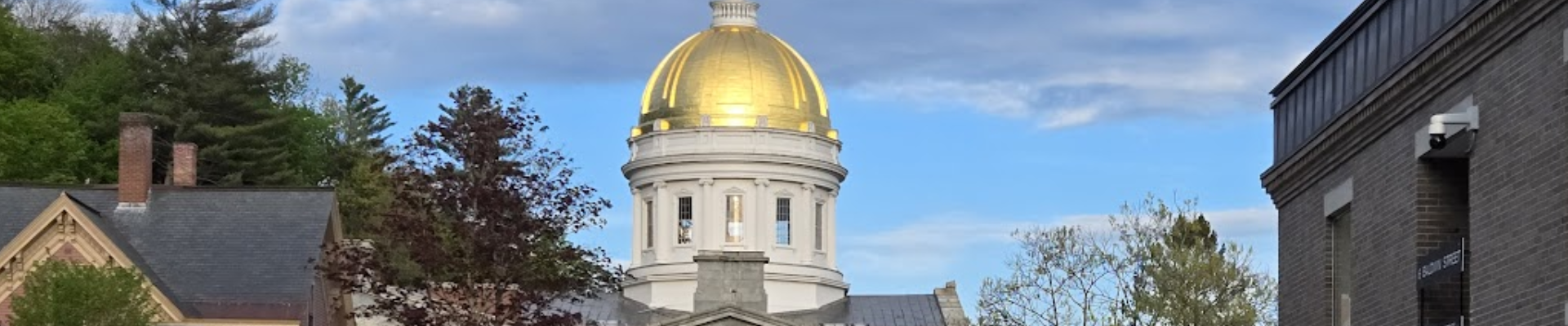 image golden dome