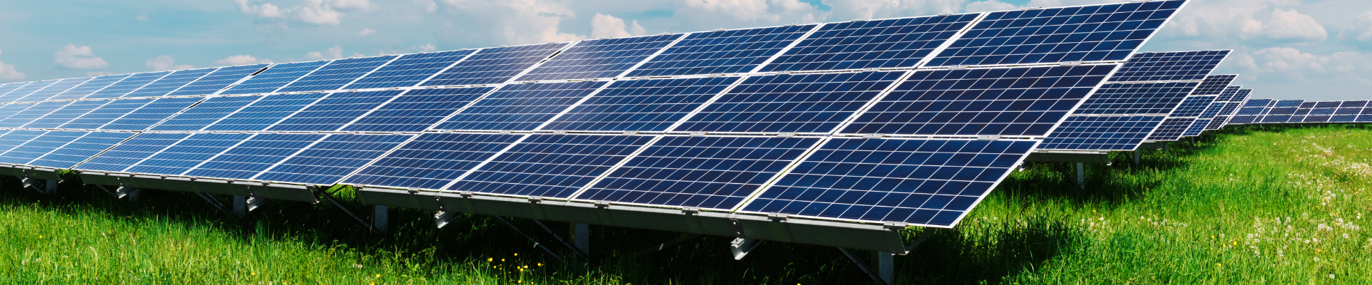 a large array of solar/PV panels in a field