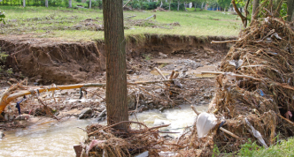 eroded stream bank