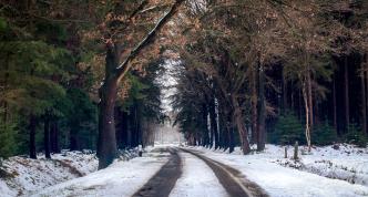 Image snowy dirt road