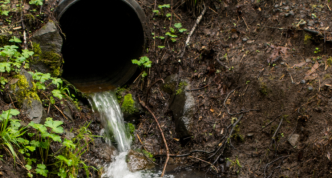 the end of a culvert in a lush woodsy setting