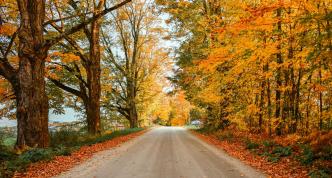 Vermont Autumn Road