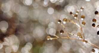 an abstract close-up photo