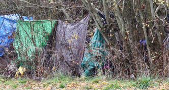 photo of ad-hoc residential tent site near edge of woods