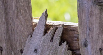 image fence