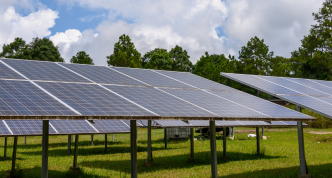 several rows of solar panels in a field