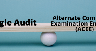 "Single Audit" and "Alternate Compliance Examination Engagement (ACEE)" balanced on a wooden board and ball