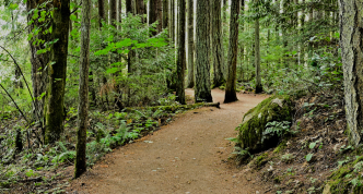 Image maintained trail