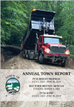 Stowe Town Report Linked Image
